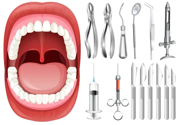 Human Mouth and Dental Equipment — Stock Vector