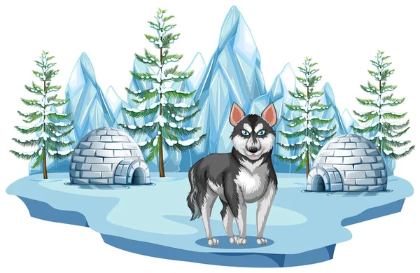 Siberische Husky hond in Noordpoolgebied — Stockvector