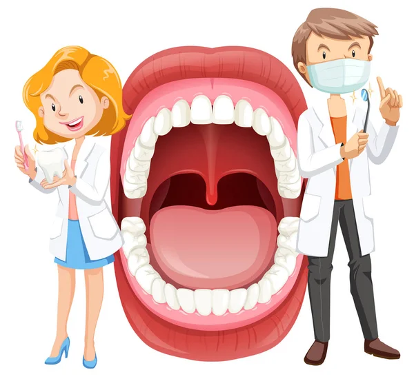 Human Mouth Anatomy with Dentist — Stock Vector