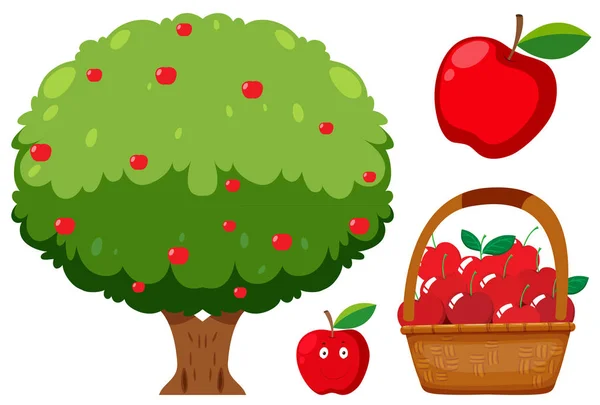 苹果树和苹果在白色背景下 — 图库矢量图片