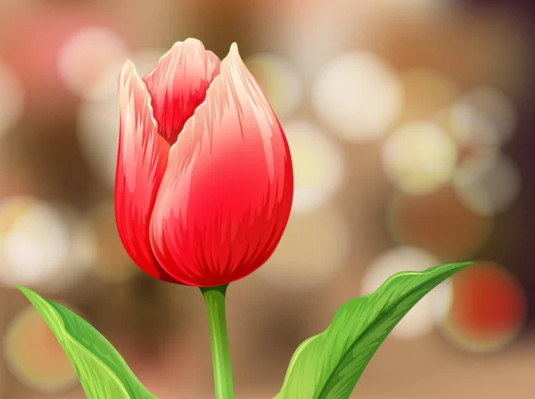 Tulip Flower op onscherpte achtergrond — Stockvector