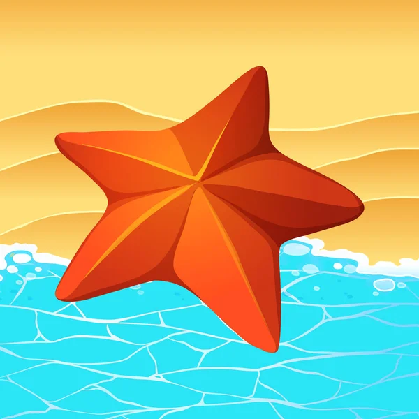 Sahilde yıldız balık — Stok Vektör