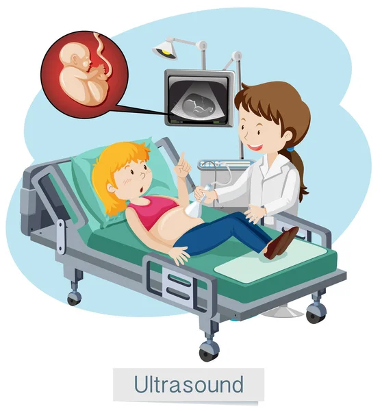 Lady ultrazvuku v nemocnici — Stockový vektor