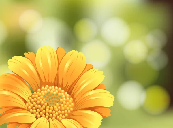 美丽的向日葵在模糊背景 — 图库矢量图片