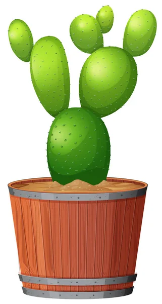 Cactus in pot op witte achtergrond — Stockvector