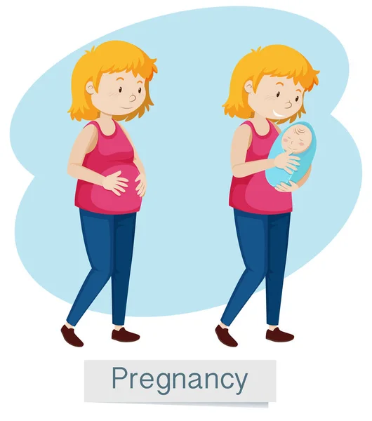 Embarazo mujer y bebé sobre fondo blanco — Archivo Imágenes Vectoriales