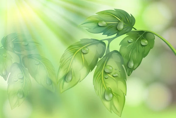 Blad van de plant op groene achtergrond — Stockvector