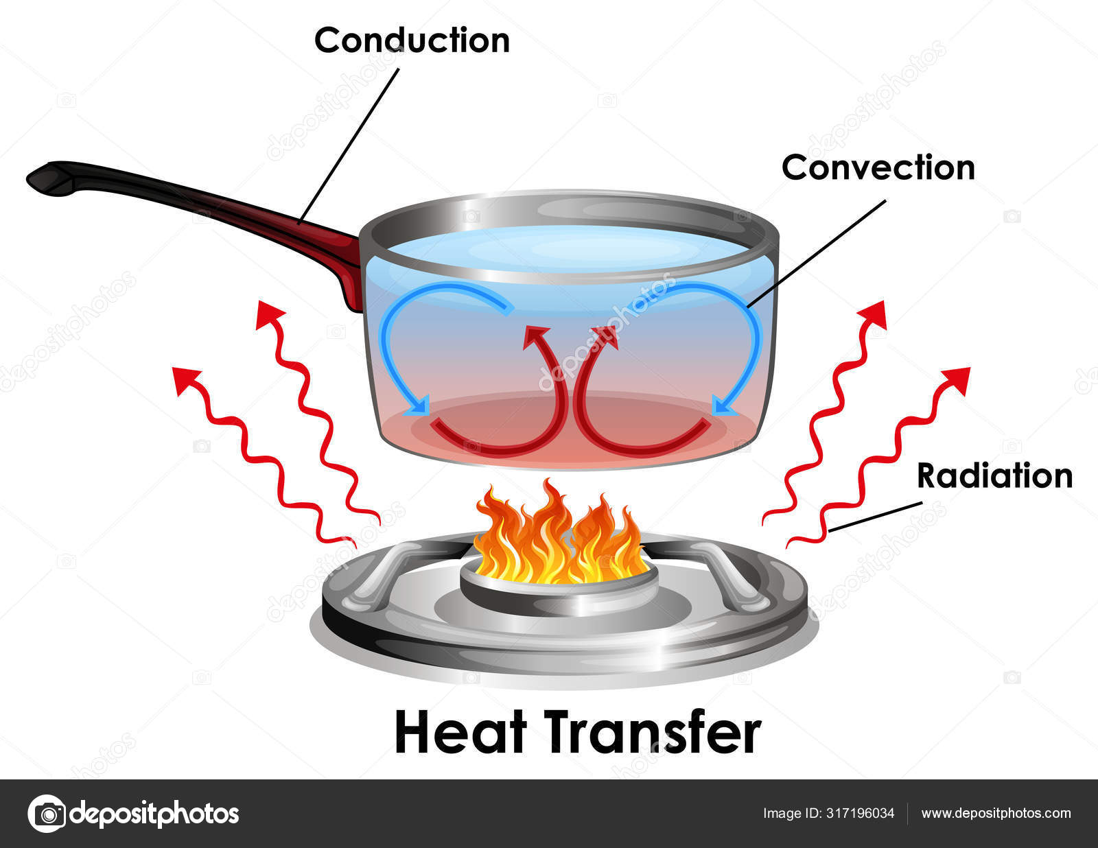convection oven heat transfer