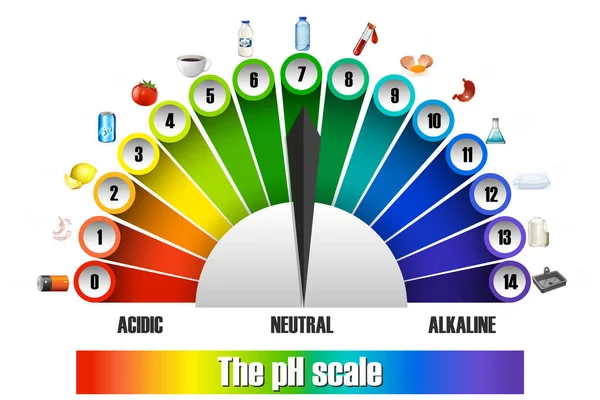 The pH scale on white background