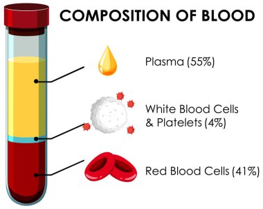 Kanın bileşimini gösteren diyagram