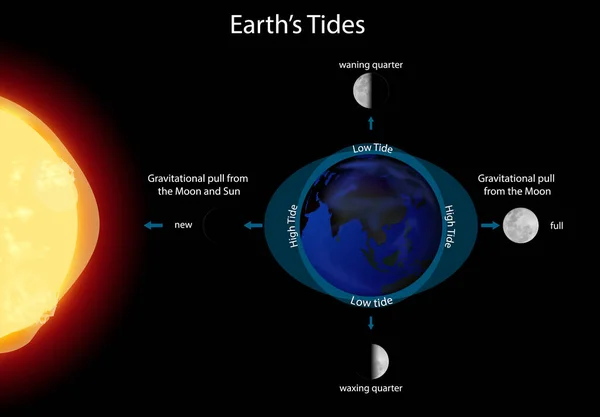 Diagram showing earth tides — Stock Vector