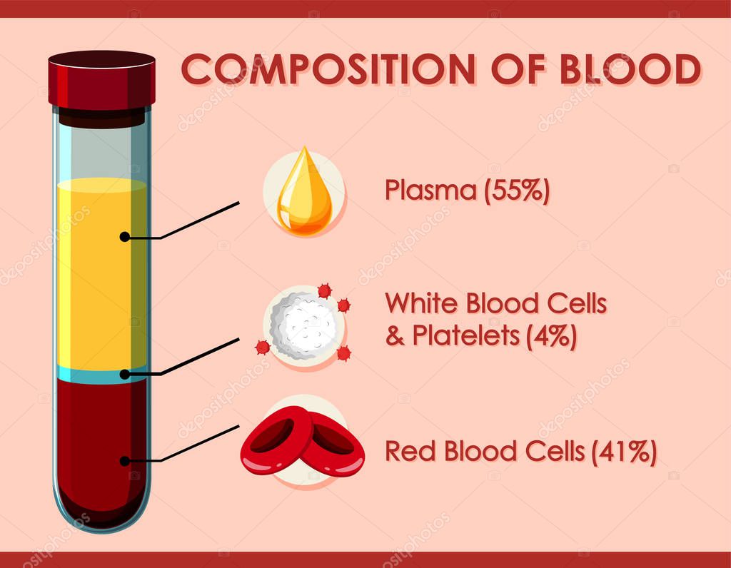 what are the composition of blood
