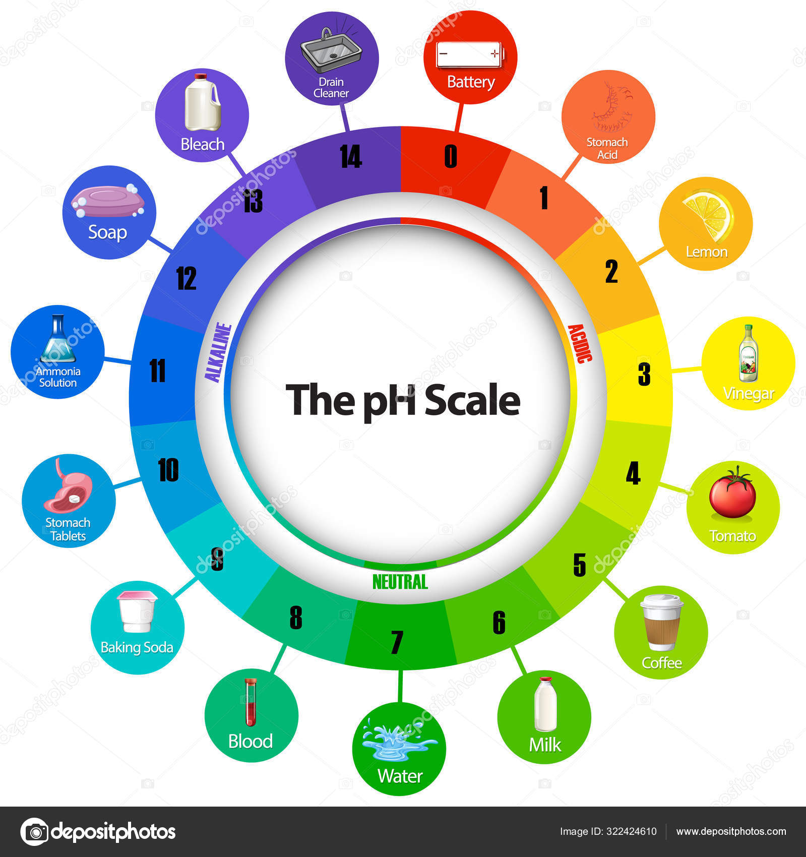 Image vectorielle Diagramme montrant l'échelle de ph par ©blueringmedia -  322424610, image size:1599x1700