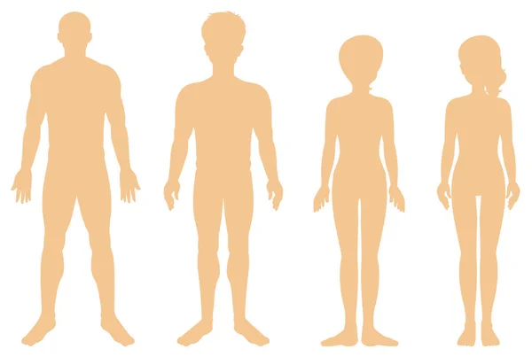 Silhouette von verschiedenen Menschen auf weißem Hintergrund — Stockvektor