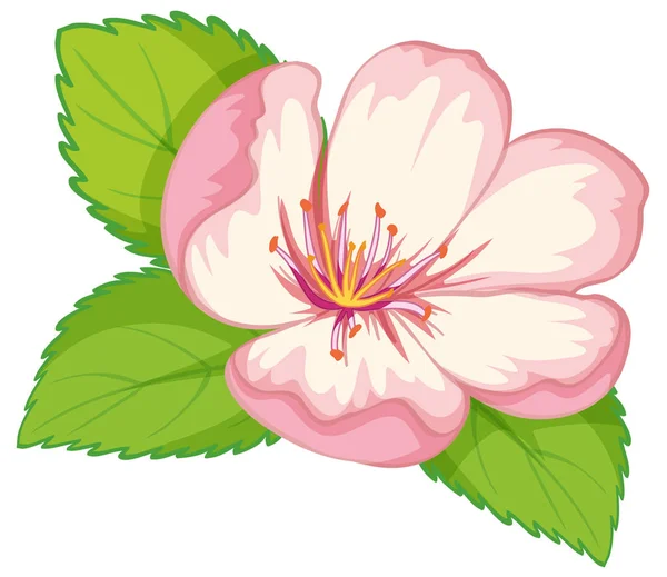 Fleur rose sur fond blanc — Image vectorielle