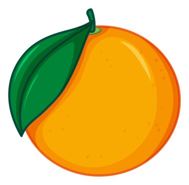 Beyaz arkaplanda bir portakal