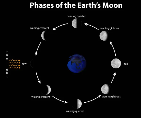Diagramm mit den Mondphasen der Erde — Stockvektor