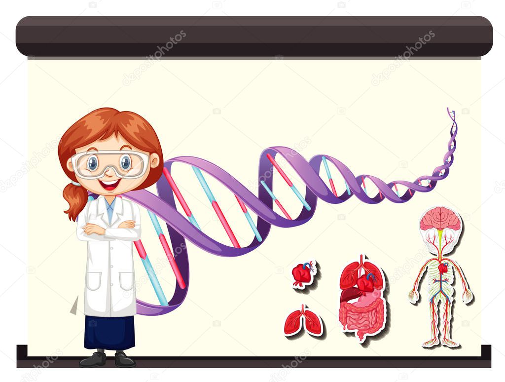Scientist with diagram showing human DNA