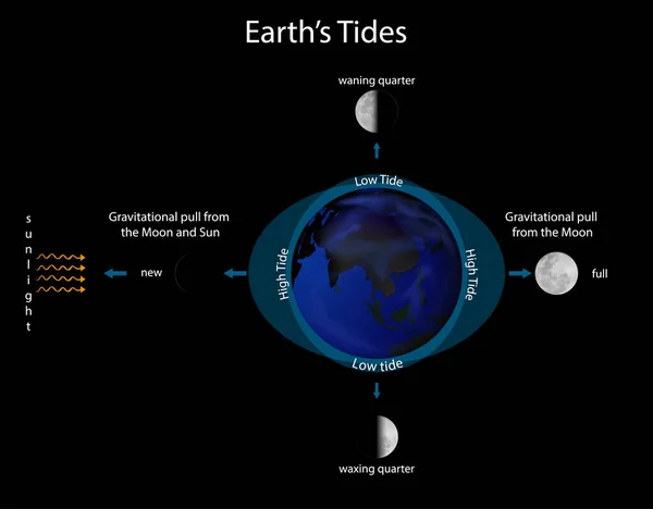 Diagram showing earth tide — Stock Vector