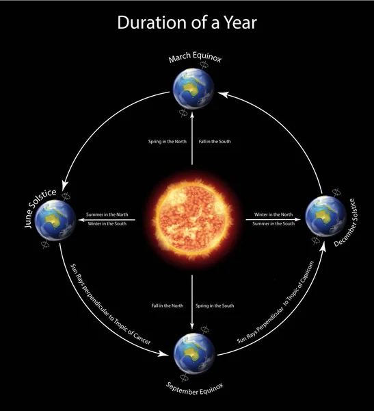 Diagram showing duration of a year with earth around the sun — Stock Vector