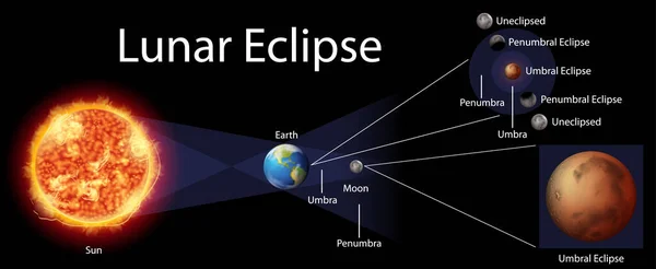 Diagrama que muestra el eclipse lunar en la tierra — Archivo Imágenes Vectoriales