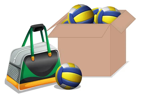 Schachtel voller Volleybälle auf weißem Hintergrund — Stockvektor