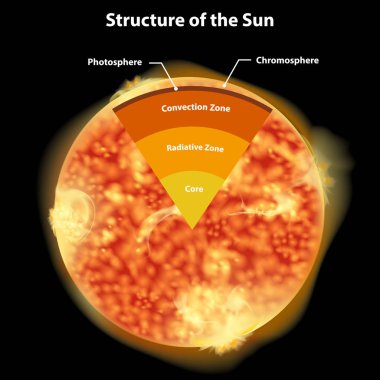 Güneşin yapısını gösteren diyagram