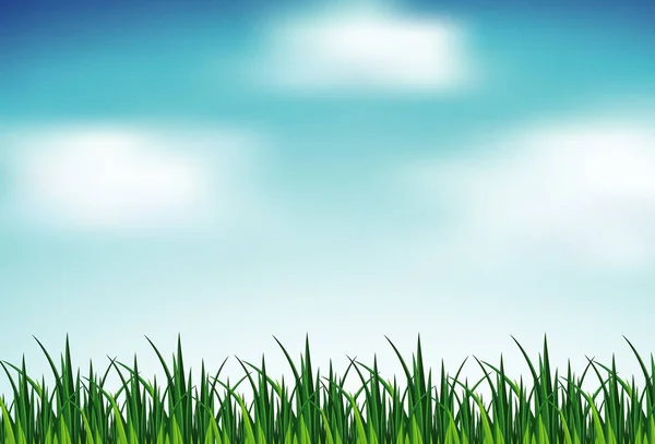 Cena de fundo com grama verde e céu azul — Vetor de Stock