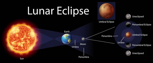 Diagrama que muestra el eclipse lunar en la tierra — Vector de stock