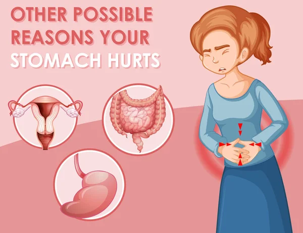 Diagram showing different stomach hurts in woman — ストックベクタ