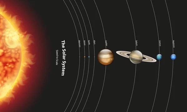 Diagram znázorňující sluneční soustavu s planetami a sluncem — Stockový vektor