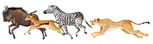 许多非洲动物在白色背景下奔跑 — 图库矢量图片