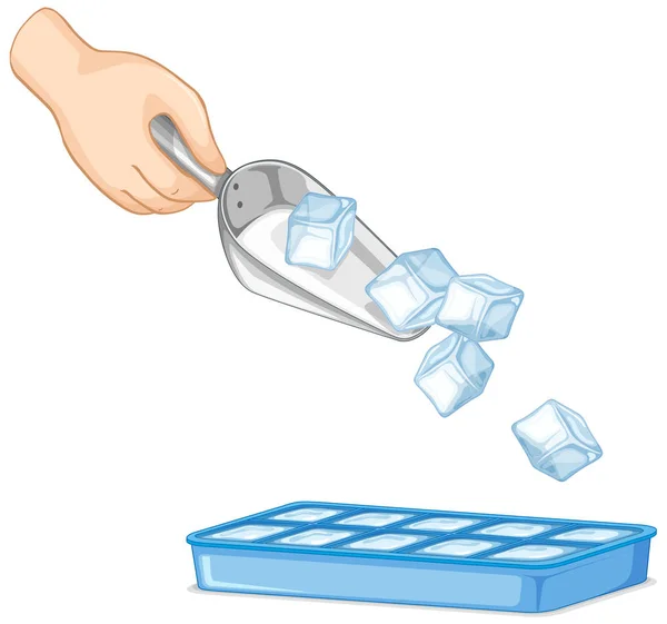 Icecube em colher e bandeja de gelo no fundo branco — Vetor de Stock