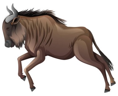 Beyaz arka planda koşan Afrika bufalosu