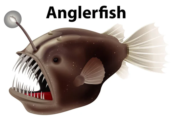Desain flash card untuk anglerfish pada latar belakang putih - Stok Vektor