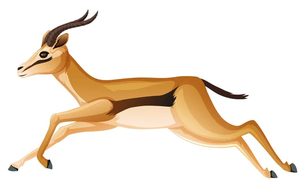 Wild anelope běží na bílém pozadí — Stockový vektor