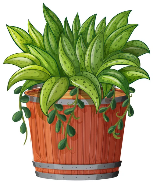 孤立した白い背景に緑色の葉を持つポット植物 — ストックベクタ