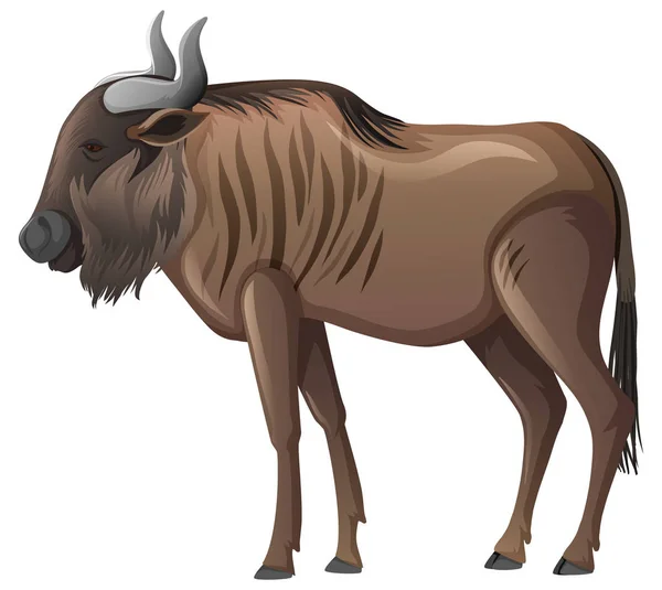Búfalo Africano Selvagem Sobre Fundo Branco Ilustração — Vetor de Stock