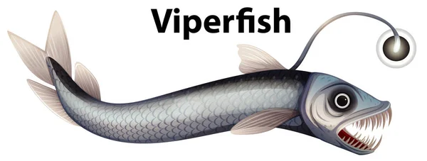 Wordcard Design Viperfish White Fone Illustration — стоковый вектор