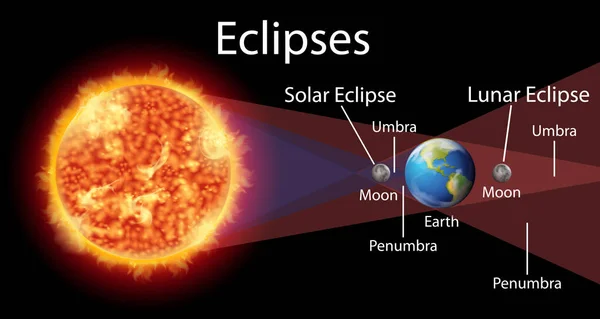 Diagrama Que Muestra Eclipses Con Ilustración Del Sol Tierra — Vector de stock
