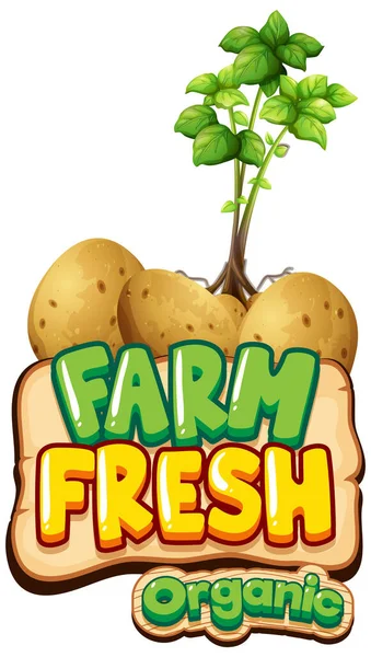 Font Design Word Fresh Farm Potatoe Plants Illustration — Stock Vector