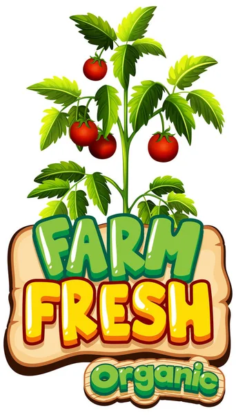 Font Design Word Fresh Farm Fresh Tomatoes Illustration — Stock Vector