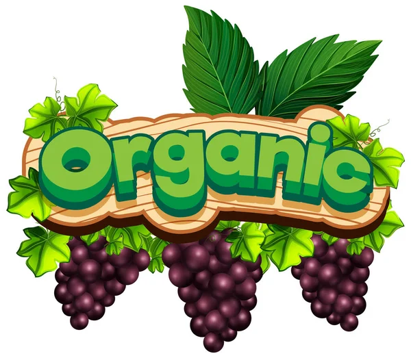 Font Design Word Organic Fresh Grapes Illustration — Stock Vector