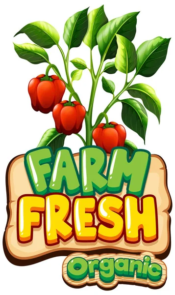 Návrh Písma Pro Word Fresh Farm Red Capsicums Illustration — Stockový vektor