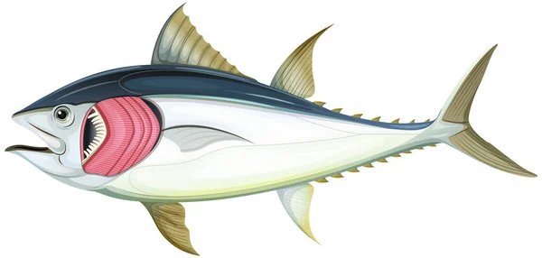 白を基調とした魚 — ストックベクタ