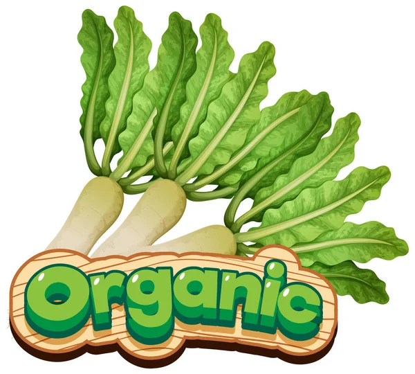 Diseño Fuente Para Palabra Orgánica Con Ilustración Vegetal Fresca — Vector de stock