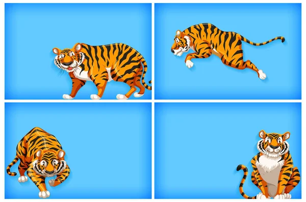 Desain Templat Latar Belakang Dengan Warna Polos Dan Ilustrasi Harimau - Stok Vektor