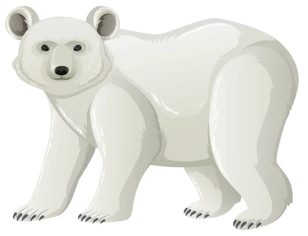 Urso Polar Quatro Pernas Sobre Fundo Branco Ilustração —  Vetores de Stock