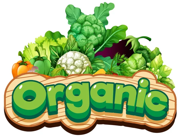 Diseño Fuente Para Palabra Orgánica Con Muchas Verduras Ilustración — Vector de stock