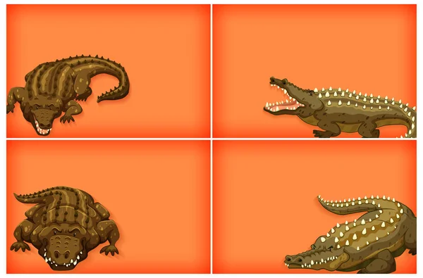 Hintergrundschablone Design Mit Einfarbiger Und Krokodilillustration — Stockvektor